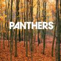 panthers