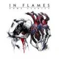 inflames-comeclarity.jpg