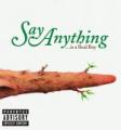 sayanything-isarealboy.jpg