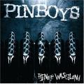pinboys-teenagewasteland.jpg