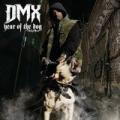 dmx-yearofthedog.jpg