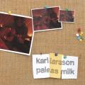 karllarsson-review.jpg